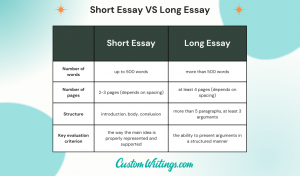 long essays definition