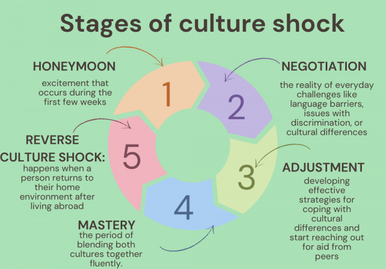 Culture Shock Meaning