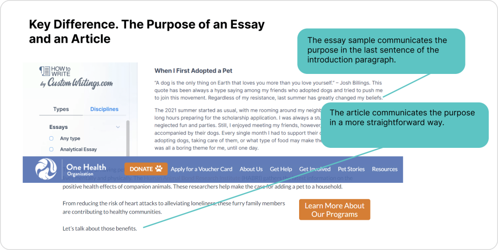 article essay difference